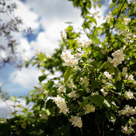 ピモンテ Il Giardino Bed & Breakfast エクステリア 写真